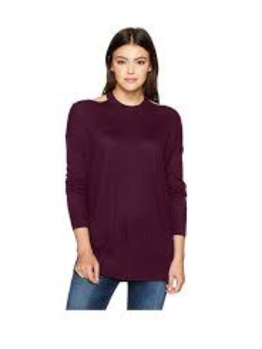 Splendid Knit Crewneck Sweater in burgundy